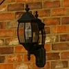 Lamp picture